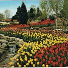 Postcard Cullen Gardens & Miniature Village Whitby Ontario