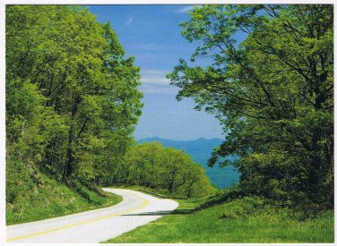 Virginia Postcard Blue Ridge Parkway Large Card
