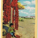California Postcard San Xavier Mission Papago Boy Stringing Chili Peppers