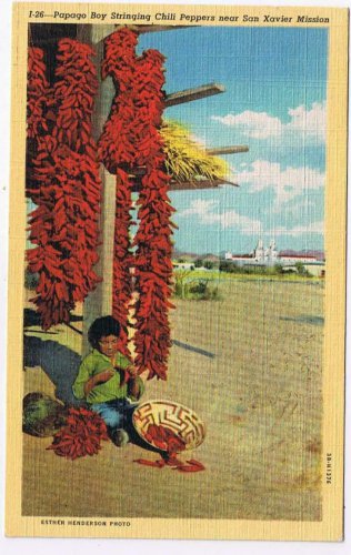 California Postcard San Xavier Mission Papago Boy Stringing Chili Peppers