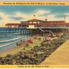 Postcard Bathing In The Gulf Of Mexico At Galvestoin Texas