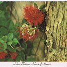 Postcard Lehua Tree Blossoms Island Of Hawaii Volcanoes National Park