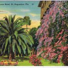 Postcard Ponce de Leon Hotel St Augustine Florida Oldest City In USA