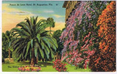 Postcard Ponce de Leon Hotel St Augustine Florida Oldest City In USA