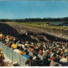 Postcard Hollywood Park Racetrack Inglewood California Hollywood Turf Club