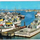 California Postcard San Diego Harbor Sportfishing Boats Municipal Yacht Basin