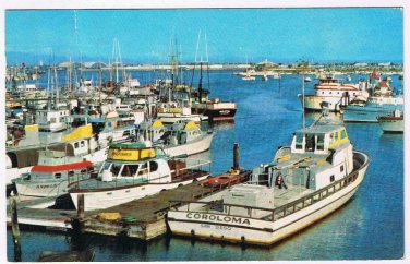 California Postcard San Diego Harbor Sportfishing Boats Municipal Yacht Basin