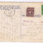 California Postcard 29 Palms Oasis Willard