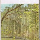 Roadmap Shell Georgia 1972 Macon Savannah Augusta Atlanta Calloway Gardens