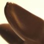 Goebel Salt or Pepper Shaker Brown Rabbit P157 A TMK2 1940-1959 High Bee