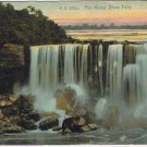Postcard The Horse Shoe Falls 1906 Rotograph Company New York