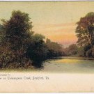 Pennsylvania Postcard Bradford Tuneangwon Creen 1904 Rotograph Co