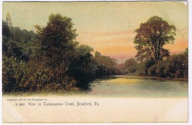 Pennsylvania Postcard Bradford Tuneangwon Creen 1904 Rotograph Co