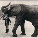 Postcard Jumbo Elephant Stortorget
