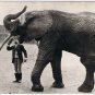 Postcard Jumbo Elephant Stortorget
