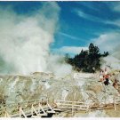 New Zealand Postcard Mighty Pohutu Geyser Scenic Wonders Of Whakarewarewa