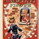 Vintage Sarcastic Valentine Card T.C.G. 1950s Like A Beautiful Flower