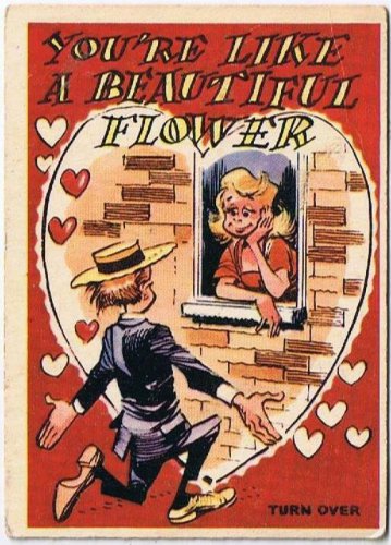 Vintage Sarcastic Valentine Card T.C.G. 1950s Like A Beautiful Flower