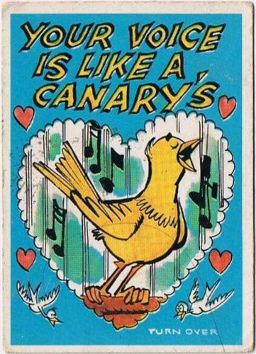 Vintage Sarcastic Valentine Card T.C.G. 1950s Your Voice Is Like A Canary