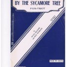 Orchestration By The Sycamore Tree Fox Trot 3 Parts Arr Paul Weirick