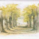 Apotek Pharmacy Medicine Envelope Illustrated Tree Lined Roadway Denmark