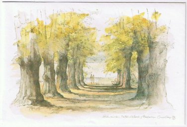 Apotek Pharmacy Medicine Envelope Illustrated Tree Lined Roadway Denmark