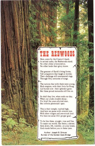 California Postcard The Redwoods Joseph Strauss Poem Builder Golden Gate Bridge