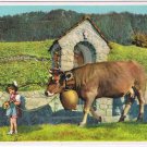 Liechtenstein Postcard Baroness Ludmila von Falz-Fein Leading Champion Cow