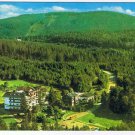 Germany Postcard Schwarzwaldhochstrasse Black Forest Kurgebiet Buhlerhohe Platti