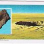 Brooke Bond Red Rose Tea Card #5 Meteor Crater The Space Age