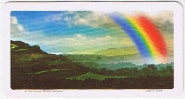 Brooke Bond Red Rose Tea Card #8 Rainbow The Space Age