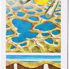 Brooke Bond Red Rose Tea Card #12 Patterned Land The Arctic