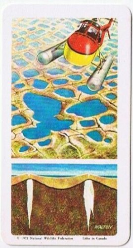 Brooke Bond Red Rose Tea Card #12 Patterned Land The Arctic