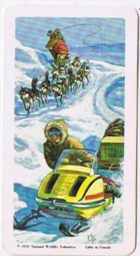 Brooke Bond Red Rose Tea Card #8 Old Ways & New The Arctic