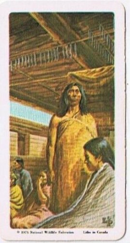 Brooke Bond Red Rose Tea Card #36 Cedar House Indians Of Canada