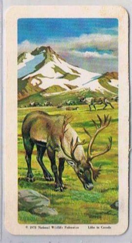 Brooke Bond Red Rose Tea Cards The Arctic #28 Barren Ground Caribou