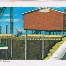 Brooke Bond Red Rose Tea Card #13 Permafrost The Arctic