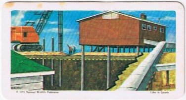 Brooke Bond Red Rose Tea Card #13 Permafrost The Arctic