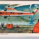 Brooke Bond Red Rose Tea Cards The Arctic #21 Arctic Sky Crane