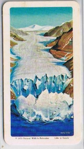 Brooke Bond Red Rose Tea Cards The Arctic #25 Glacier Calving Iceburgs