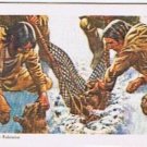 Brooke Bond Red Rose Tea Card #3 Algonkians Capturing Beaver Indians Of Canada