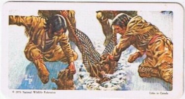 Brooke Bond Red Rose Tea Card #3 Algonkians Capturing Beaver Indians Of Canada