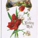 Greeting Postcard Embossed A Birthday Wish Red Flowers Country Scene