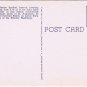 Postcard Jumping Porpoises Feeding Time Marine Studio Marineland Florida