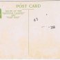 Postcard Plums Raised In Wenalchee Valley Great Northern Railway