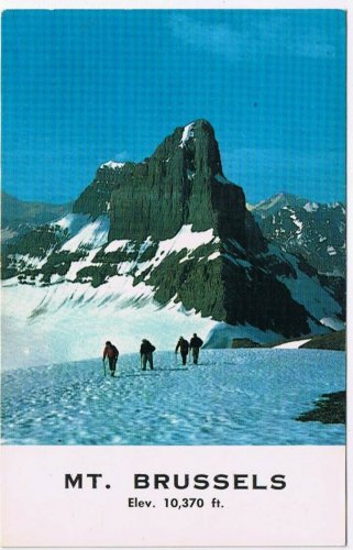Postcard Mt Brussels Athabasca Valley Jasper Park Canadian Rockies