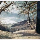 Scene Postcard White Symphony Winter Snow