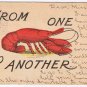 Comic Postcard Lobster From One To Another 1905