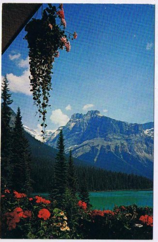Alberta Postcard The Glacier From Emerald Lake Chalet Canadian Rockies