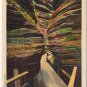Postcard Fat Man's Misery Cold Water Canyon Dells Wisconsin River